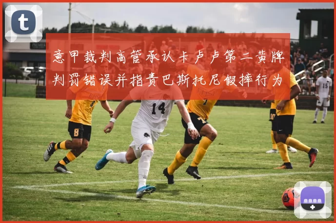 意甲裁判高管承认卡卢卢第二黄牌判罚错误并指责巴斯托尼假摔行为